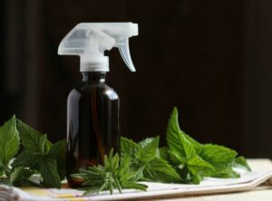Homemade Air Freshener: A Natural Air Freshener and Poo Spray